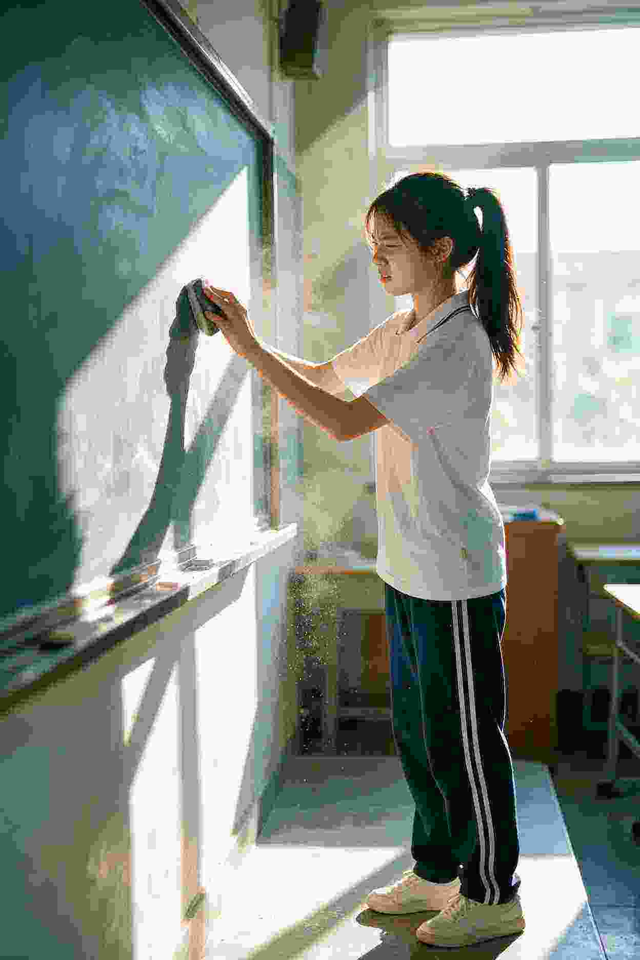 视频作品